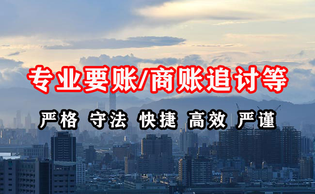 顺河清账公司